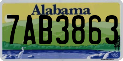 AL license plate 7AB3863