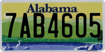 AL license plate 7AB4605