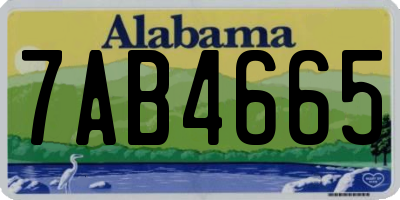 AL license plate 7AB4665