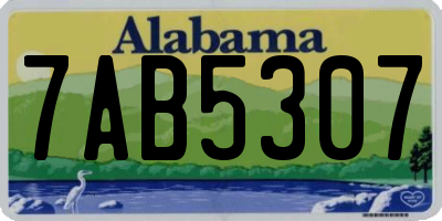 AL license plate 7AB5307