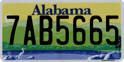 AL license plate 7AB5665