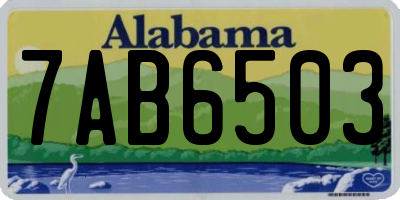 AL license plate 7AB6503
