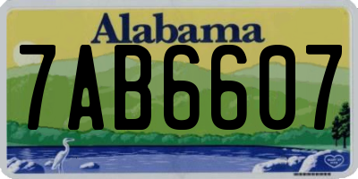 AL license plate 7AB6607