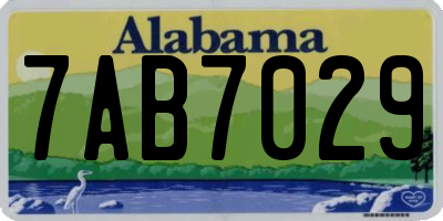 AL license plate 7AB7029