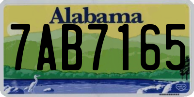 AL license plate 7AB7165