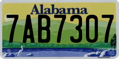 AL license plate 7AB7307