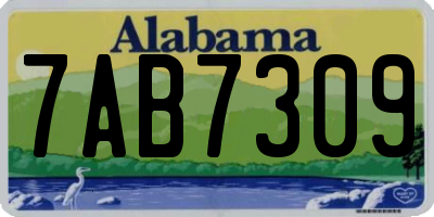 AL license plate 7AB7309