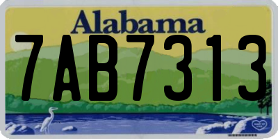 AL license plate 7AB7313