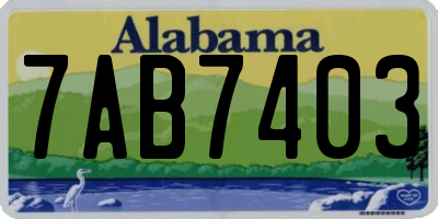 AL license plate 7AB7403