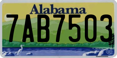 AL license plate 7AB7503