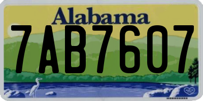 AL license plate 7AB7607
