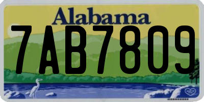 AL license plate 7AB7809