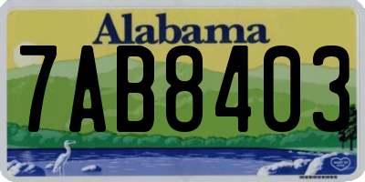 AL license plate 7AB8403