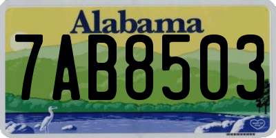 AL license plate 7AB8503