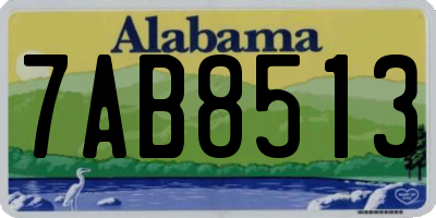 AL license plate 7AB8513