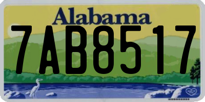 AL license plate 7AB8517