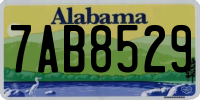 AL license plate 7AB8529