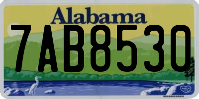 AL license plate 7AB8530