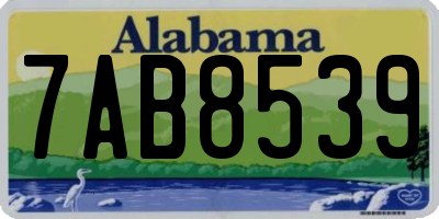AL license plate 7AB8539
