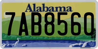 AL license plate 7AB8560