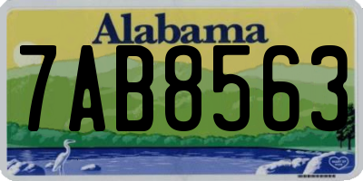 AL license plate 7AB8563