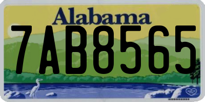 AL license plate 7AB8565
