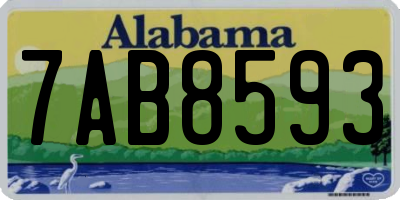 AL license plate 7AB8593