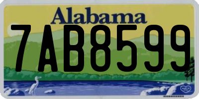 AL license plate 7AB8599
