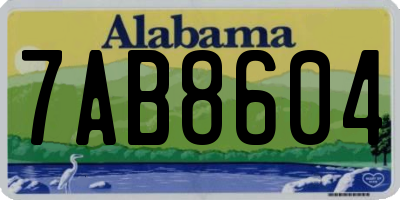 AL license plate 7AB8604