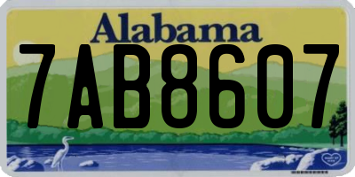 AL license plate 7AB8607