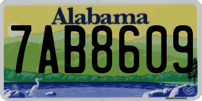 AL license plate 7AB8609