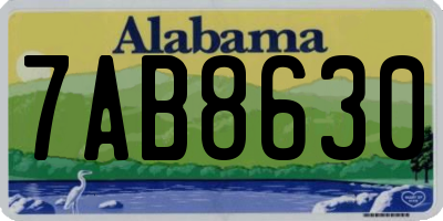 AL license plate 7AB8630
