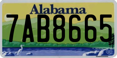 AL license plate 7AB8665