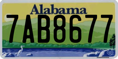 AL license plate 7AB8677