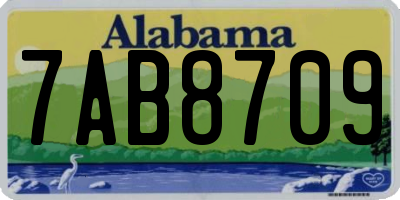 AL license plate 7AB8709