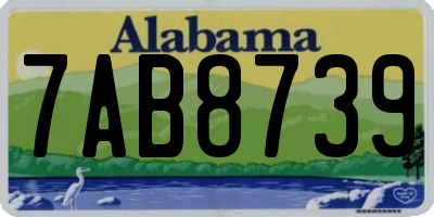AL license plate 7AB8739