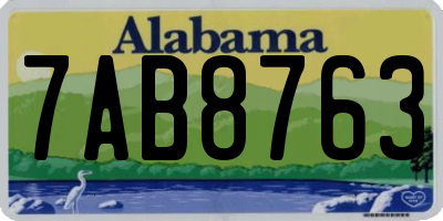 AL license plate 7AB8763