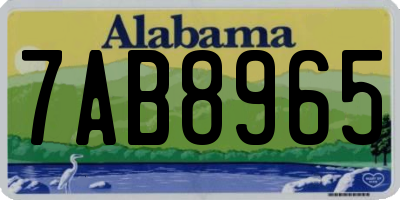 AL license plate 7AB8965