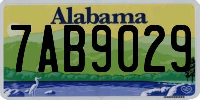 AL license plate 7AB9029