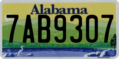 AL license plate 7AB9307