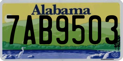 AL license plate 7AB9503
