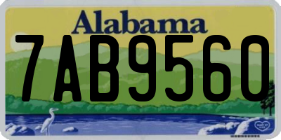 AL license plate 7AB9560