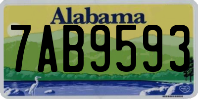 AL license plate 7AB9593