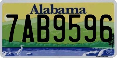 AL license plate 7AB9596