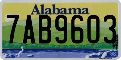 AL license plate 7AB9603
