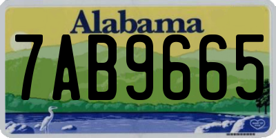 AL license plate 7AB9665