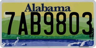 AL license plate 7AB9803