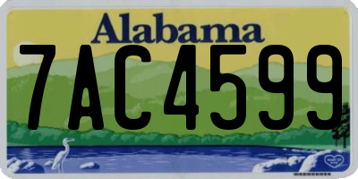 AL license plate 7AC4599