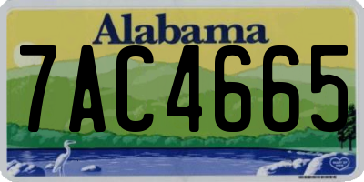 AL license plate 7AC4665