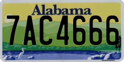 AL license plate 7AC4666